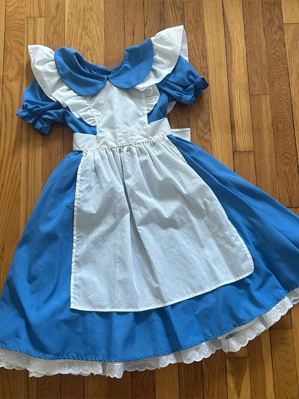Deluxe Alice in Wonderland costume Size Girls Small (6)